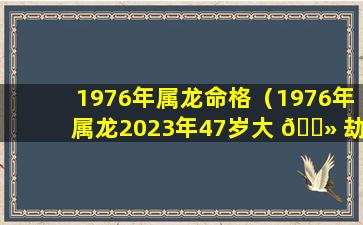 1976年属龙命格（1976年属龙2023年47岁大 🌻 劫年）